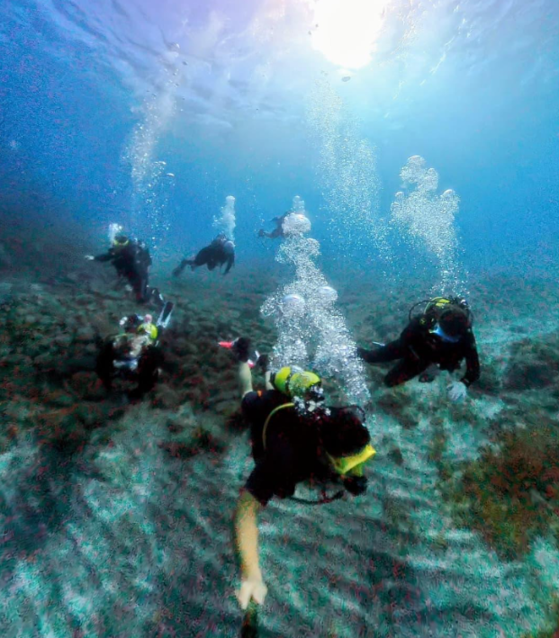 Diving for Certified Divers
